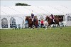 UKPA NC SAT_2895
